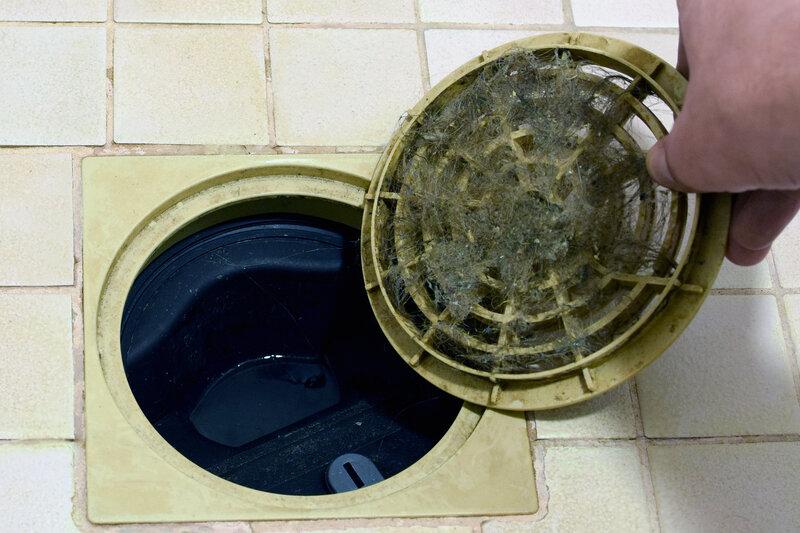Blocked Shower Drain Unblocked in Portsmouth Hampshire
